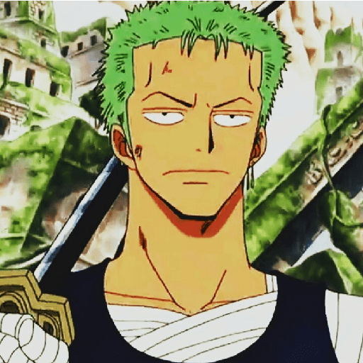 Zoro suami kairi 11