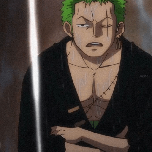 Zoro suami kairi 11