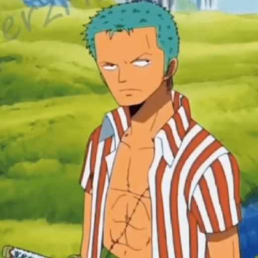 Zoro suami kairi 10