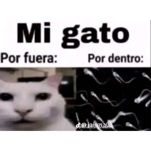 2 memes
