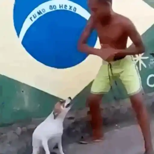 Copa 1