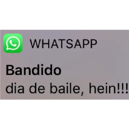 Cria do rj 6