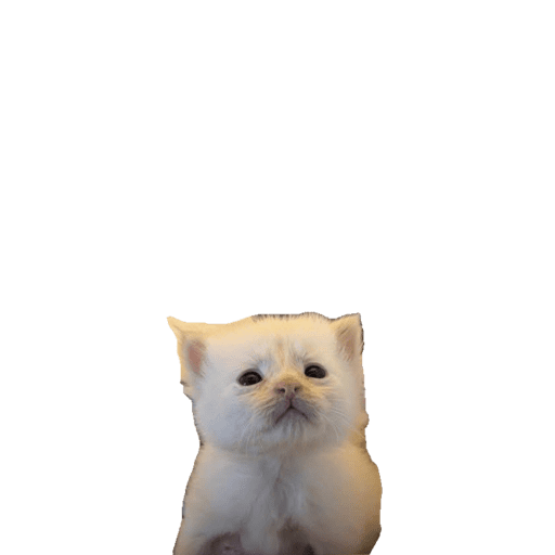 Gati 6