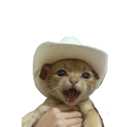 Gati 9