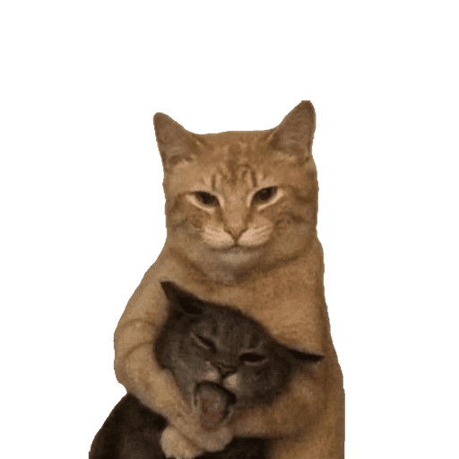 Gati 11