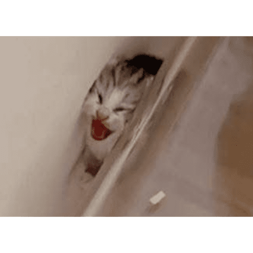 Gati 13