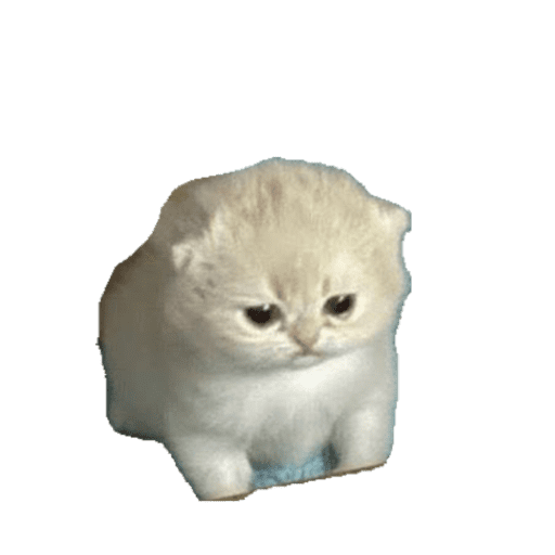 Gati 12