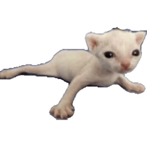 Gati 3