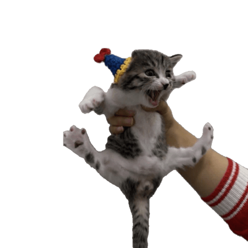 Gati 10