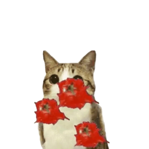 Gati 7