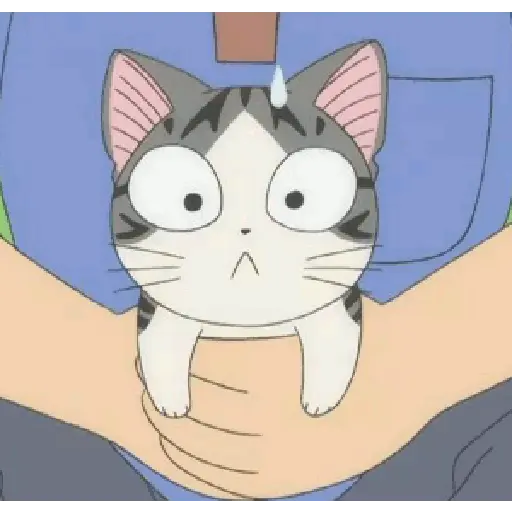 Animasi kartun kucing 15