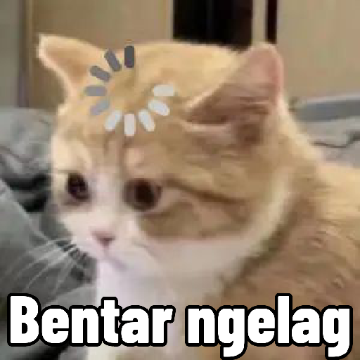 Meme kucing lucuk