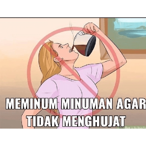 Wikihow stiker meme