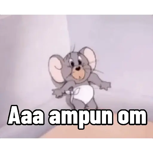 Animasi Tom and Jerry 13