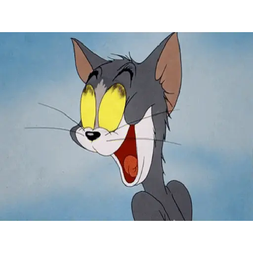 Animasi Tom and Jerry 5