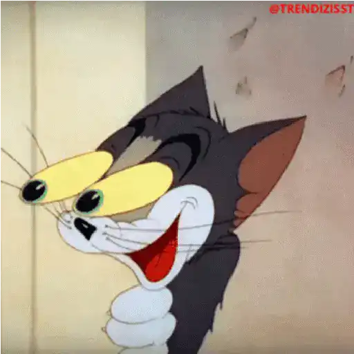 Animasi Tom and Jerry 6