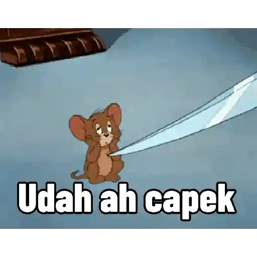 Animasi Tom and Jerry 11
