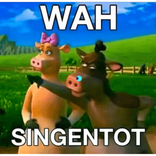 Ndr 6