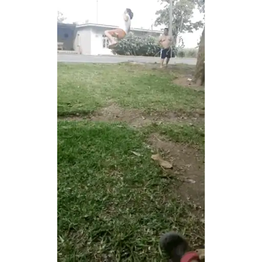 Lol 3
