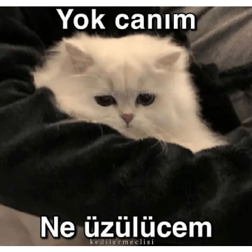 Aşk 8