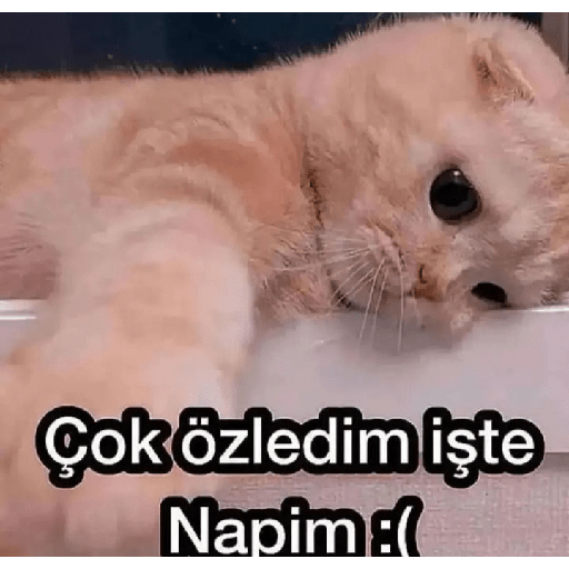 Aşk 24