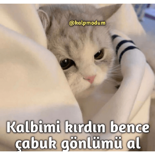 Aşk 20