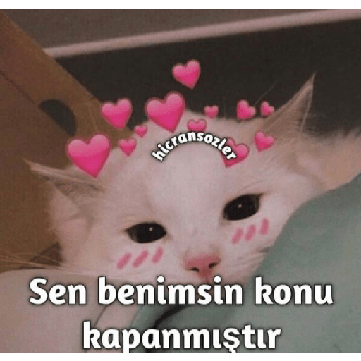 Aşk 19