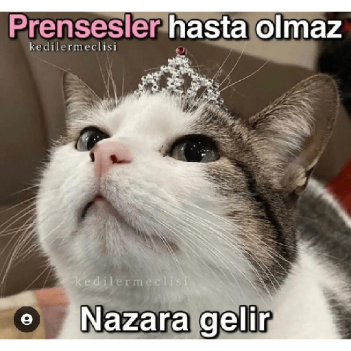 Aşk 9