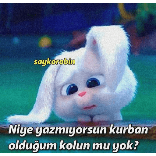 Aşk 17