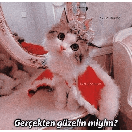 Aşk 7