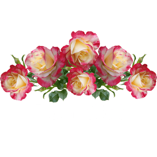 Texto 11