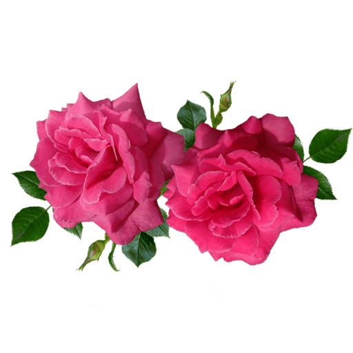 Texto 10