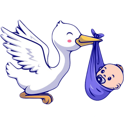 Bebê 22