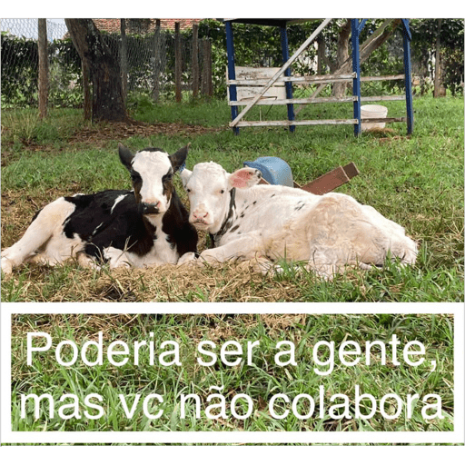 Figurinhas 5