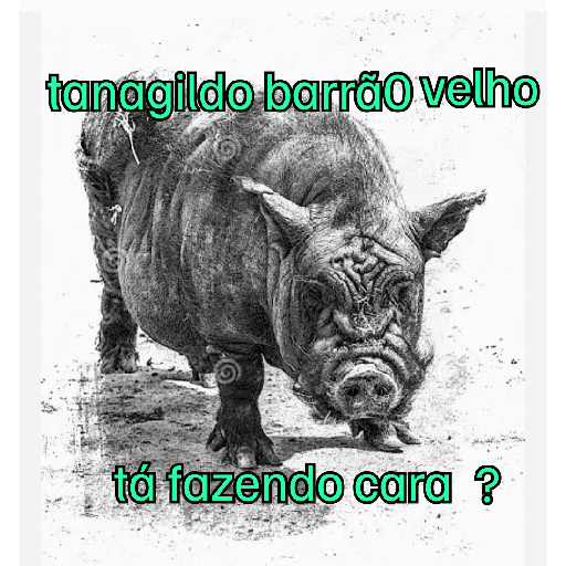 Belemita amigo 10