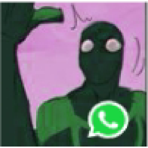 MARK WHATSAPP 17