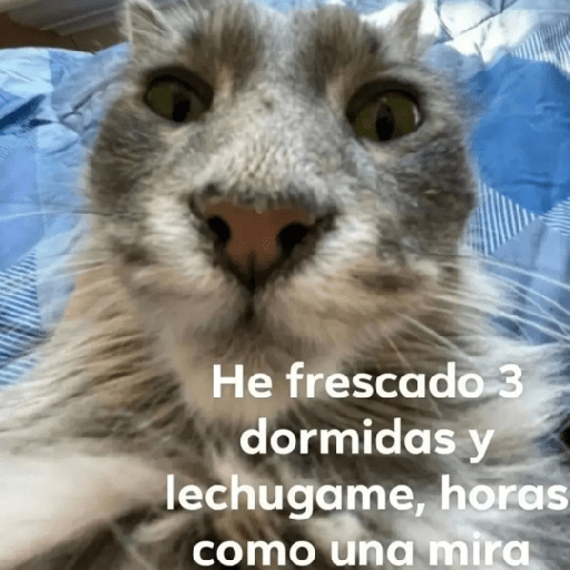 Bran New joyas 3 5