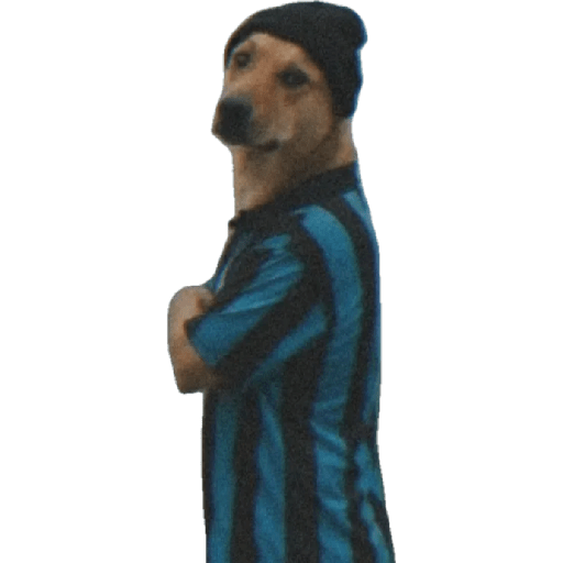 Sticker Image