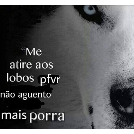 Copa 13