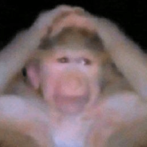 Tiktok memes 8