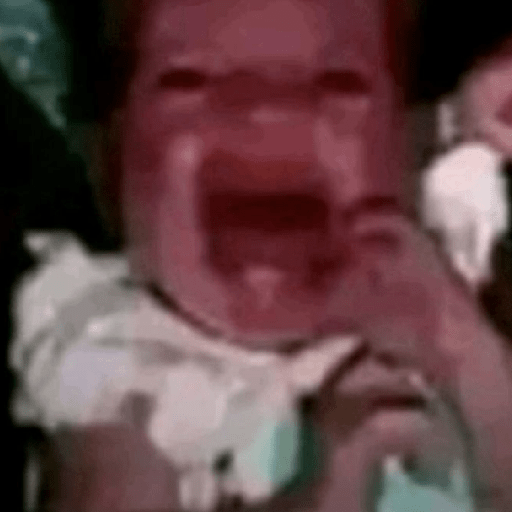 Tiktok memes 1