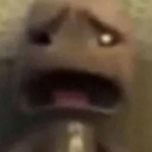 Tiktok memes 9