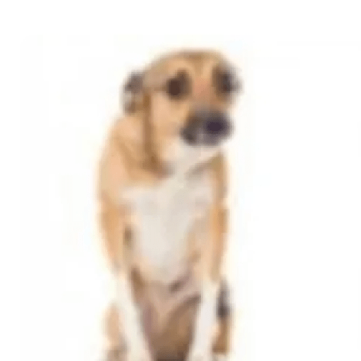 Tiktok memes 15