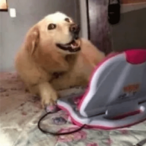 Tiktok memes 16