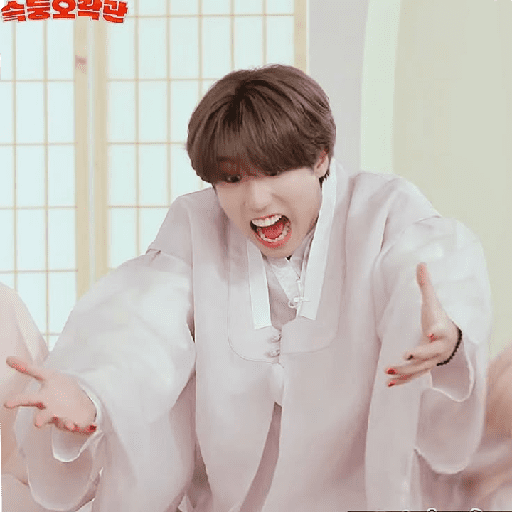 STRAY KIDS MEMES 24