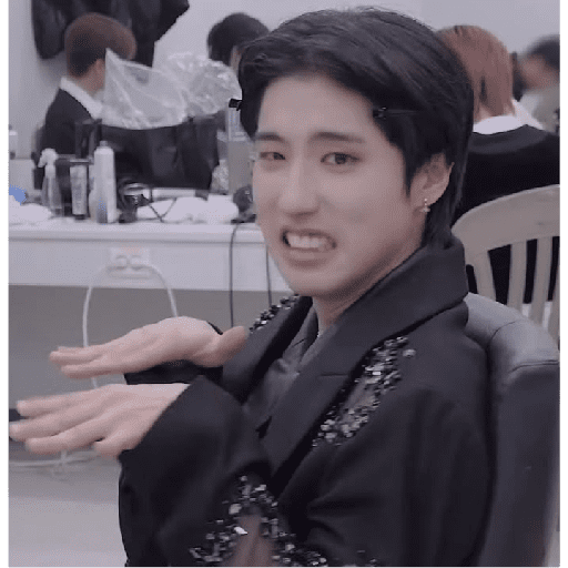 STRAY KIDS MEMES 23