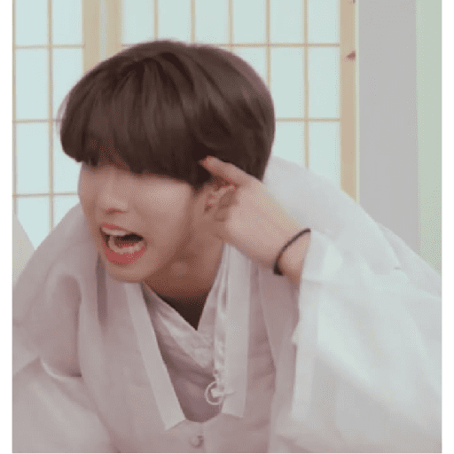 STRAY KIDS MEMES 22