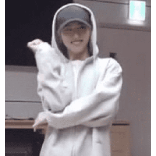 STRAY KIDS MEMES 21