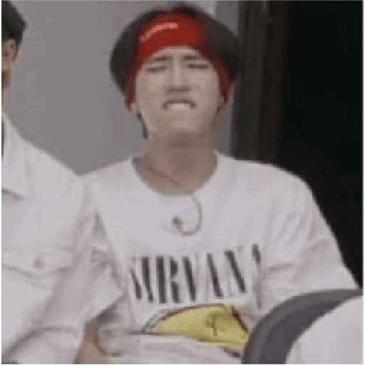STRAY KIDS MEMES 19