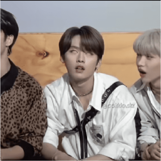 STRAY KIDS MEMES 17